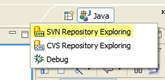 SVN Repository Exploring